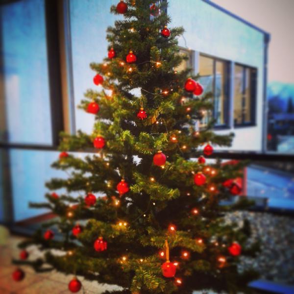Weihnachtsbaum Rathaus 2015
