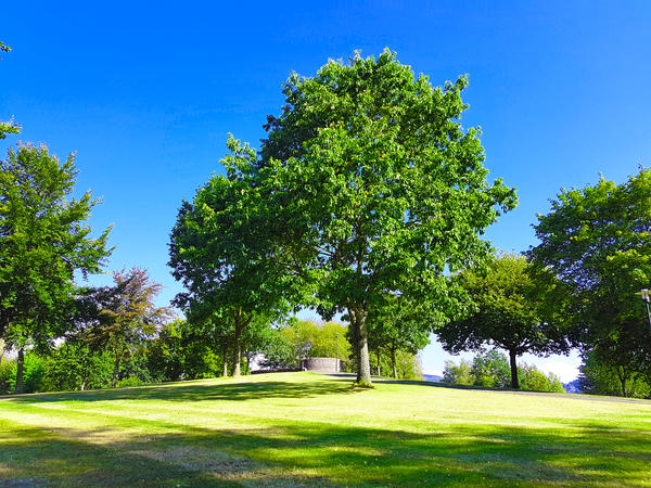 Kurpark2