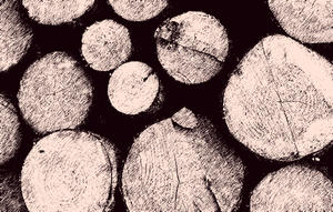 Holz