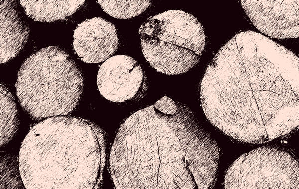 Holz