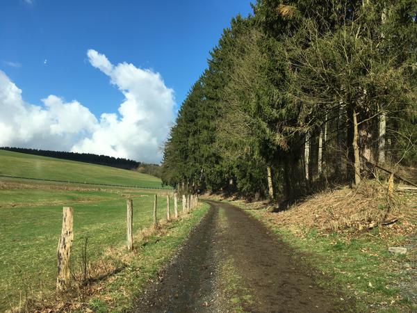 Entlang des Waldrandes f�hrt die Radstrecke zwischen Oberholzklau und Langenholdinghausen.