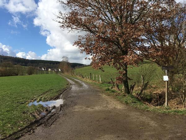 Entlang des Waldrandes f�hrt die Radstrecke zwischen Oberholzklau und Langenholdinghausen