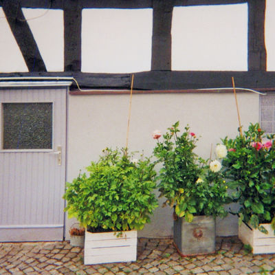 Ausstellung "Mein Freudenberg"