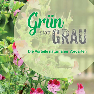 Gr�n statt Grau