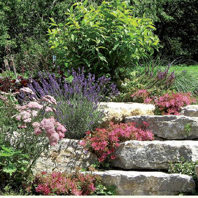 Naturgarten
