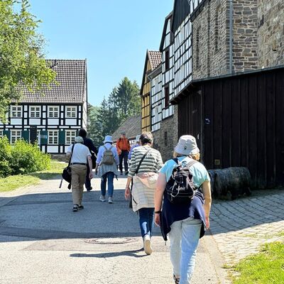 senaus3