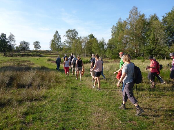 Foto Wanderung Trupbacher Heide