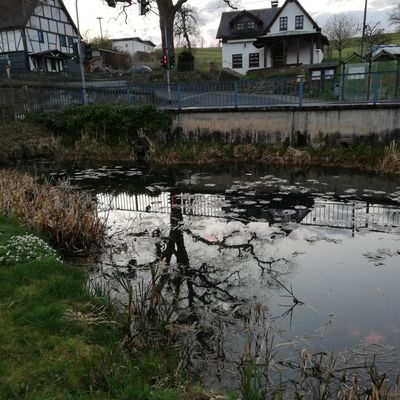 Heisberg Dorfweiher